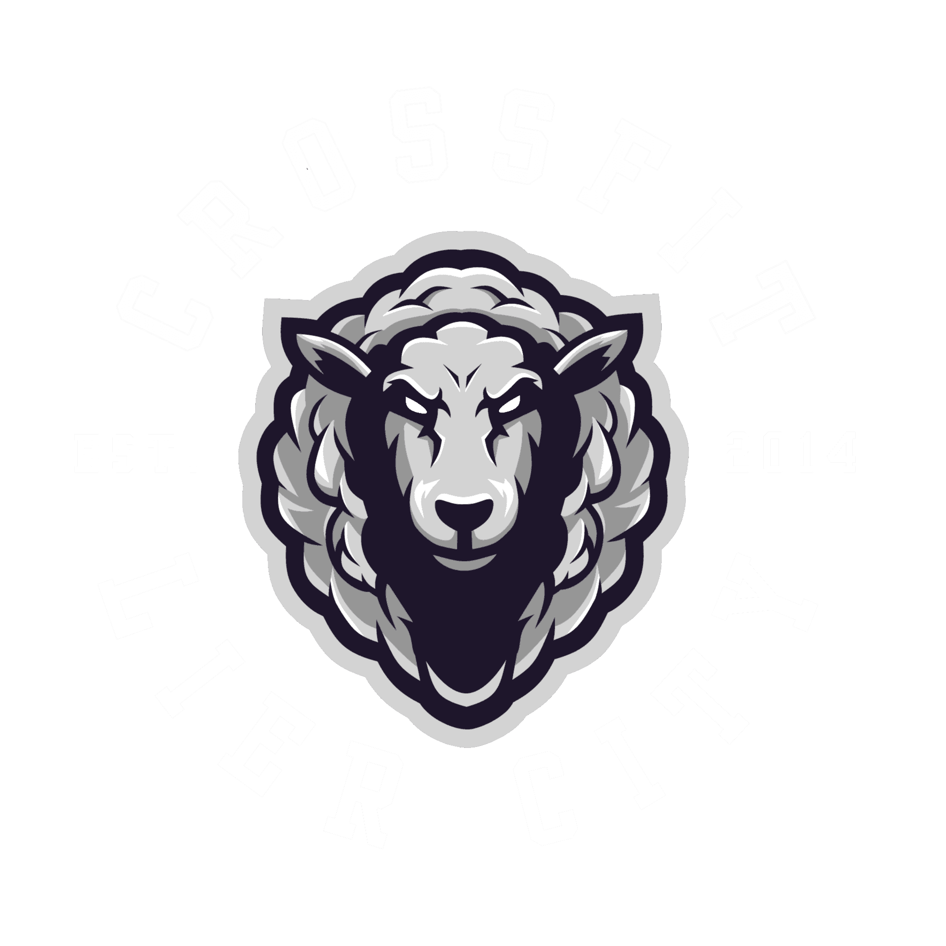 CrossFit Lier